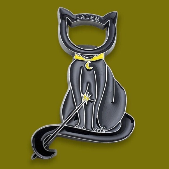 Salem Fridge Magnet Massachusetts Witch Cat Souvenir Travel Halloween US States - Picture 4 of 4